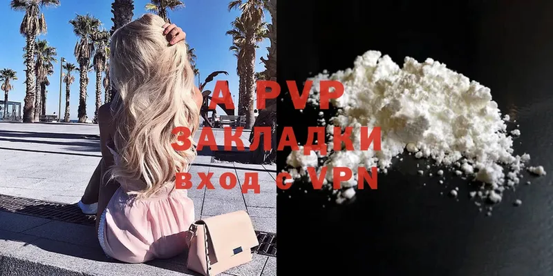 APVP СК  Луга 